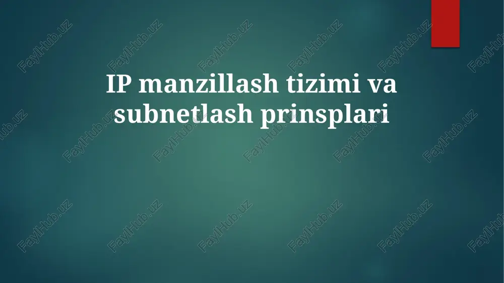 ip manzillashtizimivasubnetlashprinsplari — PPTX
