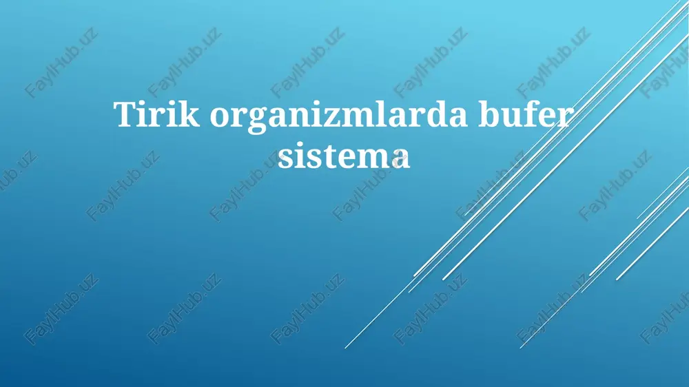 bufer tizimlari — PPTX