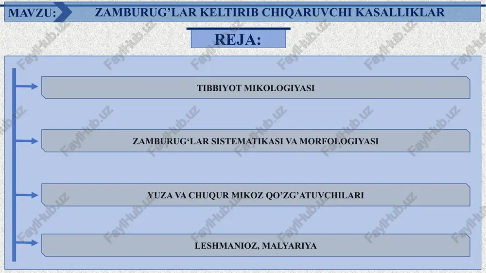 zamburug’lar keltirib chiqaruvchi kasalliklar — PPTX