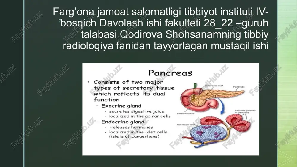 pancreas — PPTX