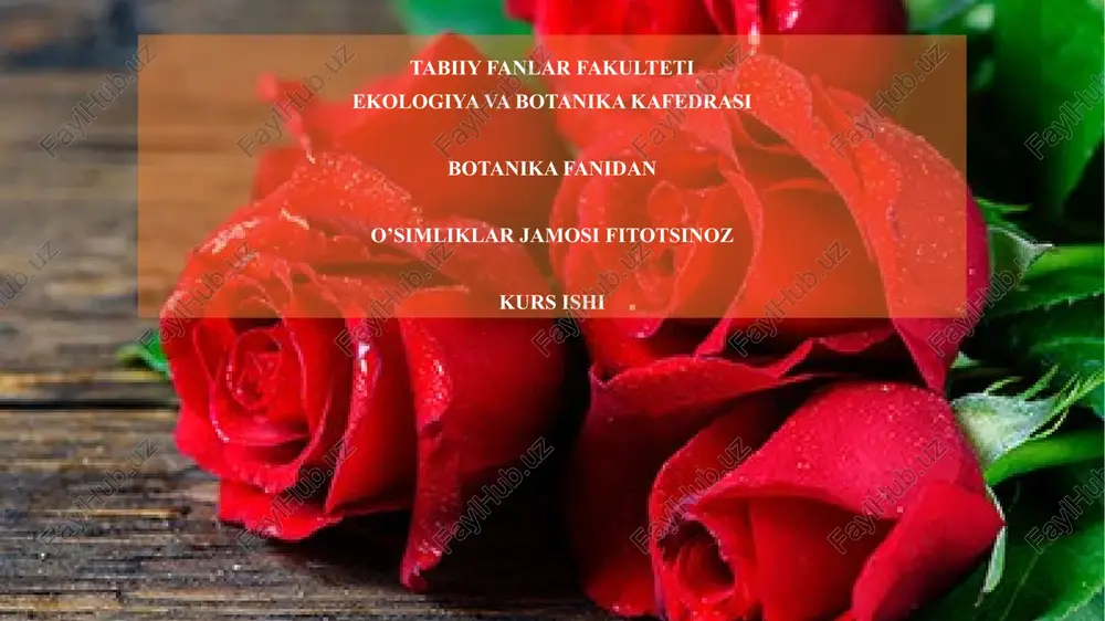o'simliklar jamosifi fitotsinoz kurs ishi — PPTX