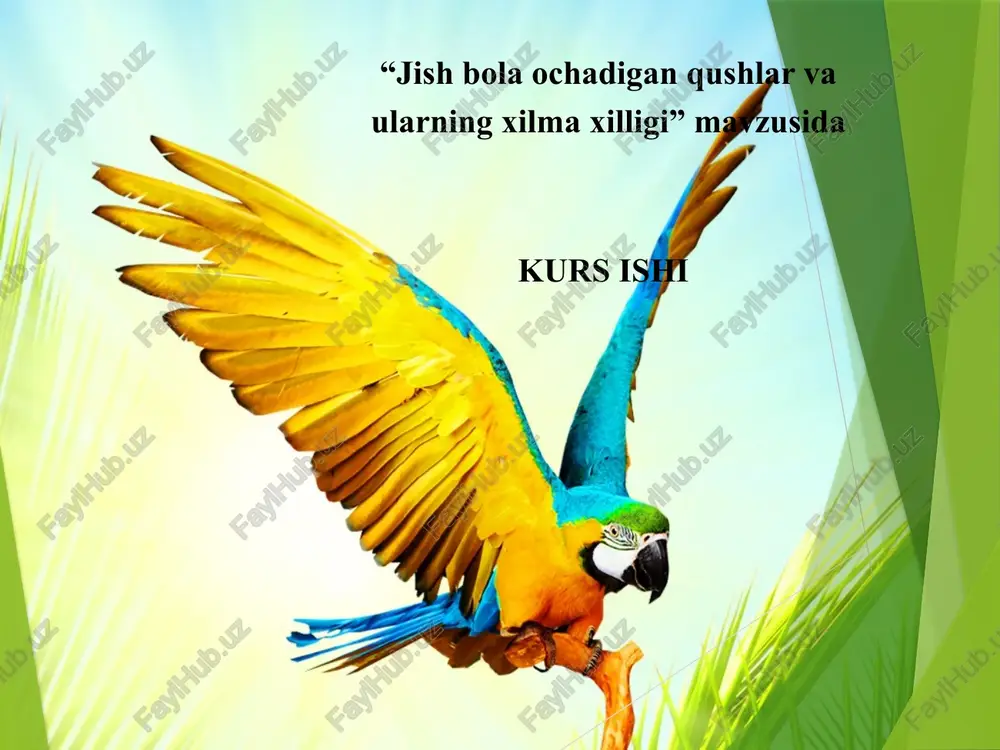 qushlar sinfi — PPTX
