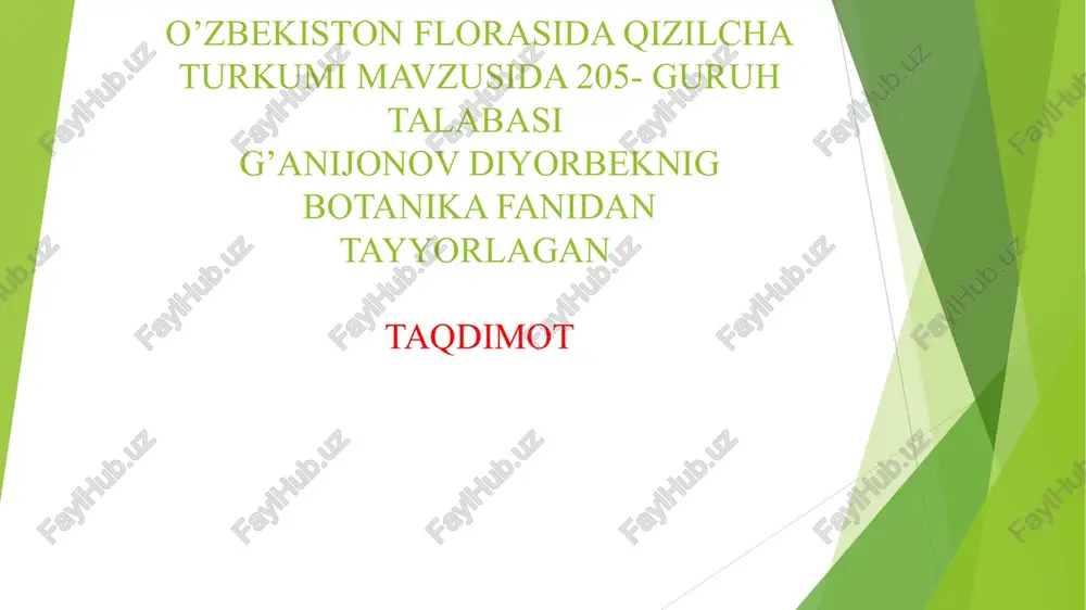 qizilcha turkumi — PPT