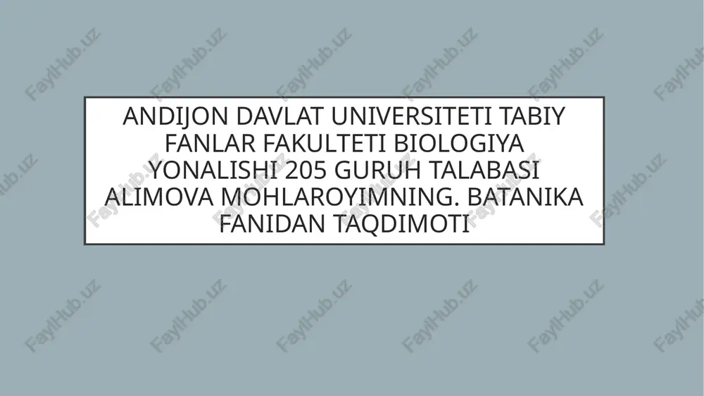 batanika fanidan taqdimoti — PPT