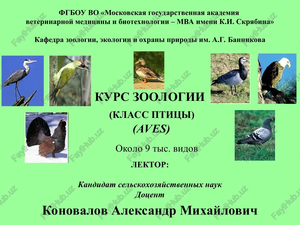 kurs zoologii(klass ptitsi)(aves) — PPT