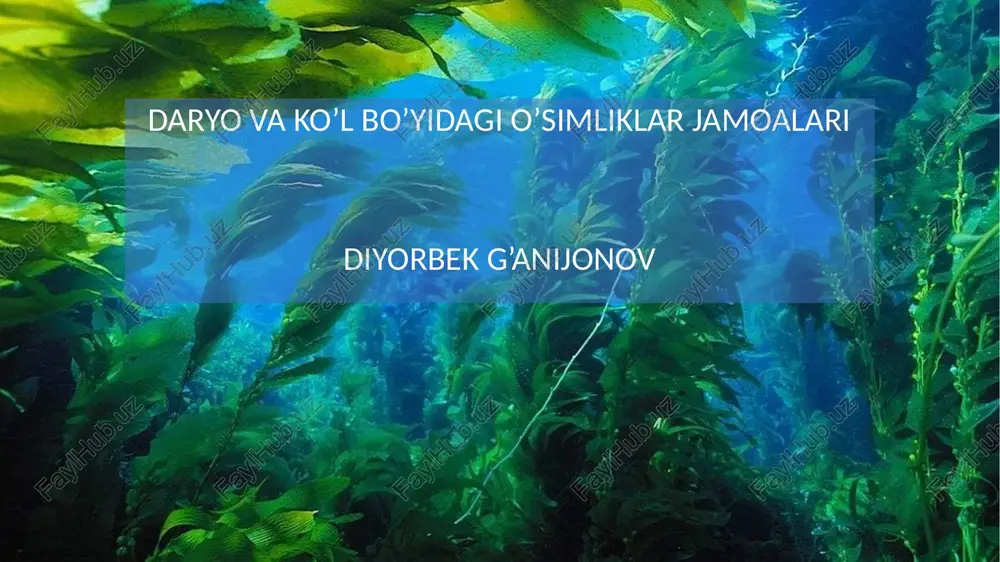 daryo va ko'l bo'yidagi o'simliklar jamoalari — PPTX