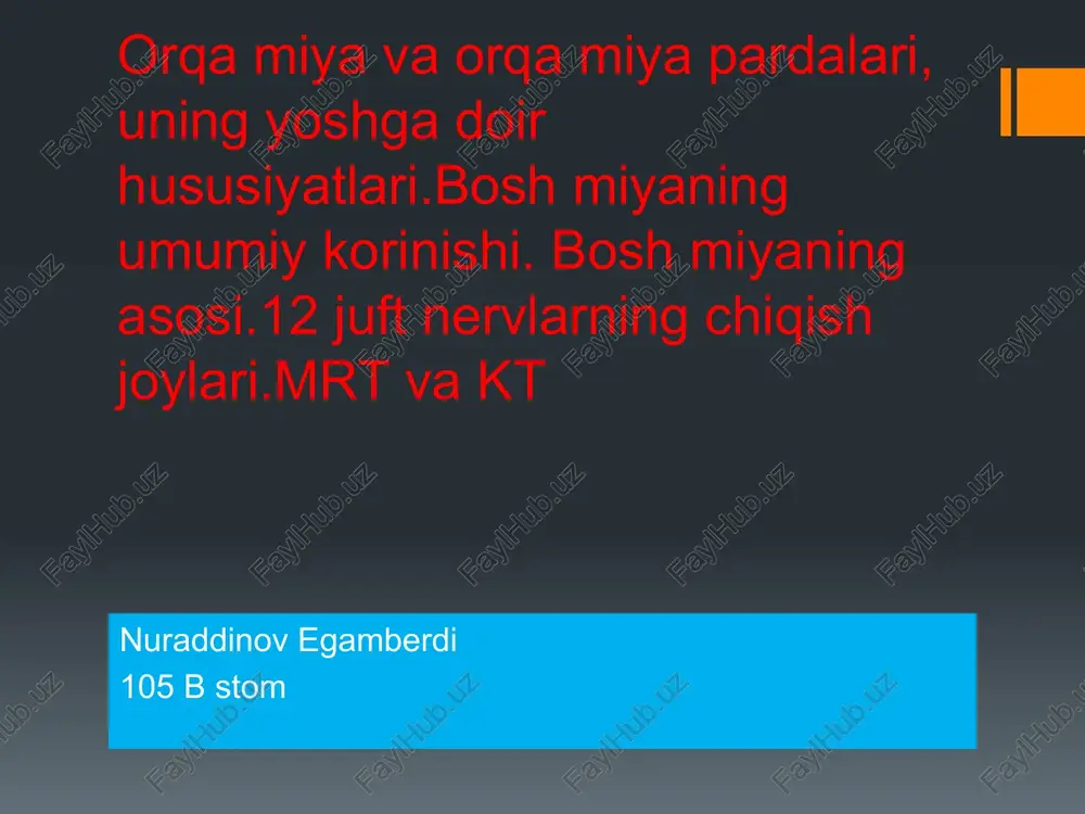 orqamiya va orqa parda — PPTX