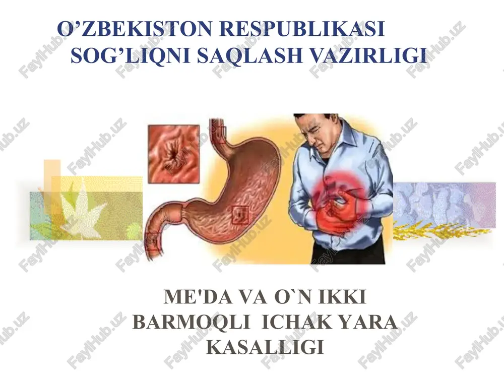 me'da va o'n ikki barmoqli ichak yara kasalligi — PPT