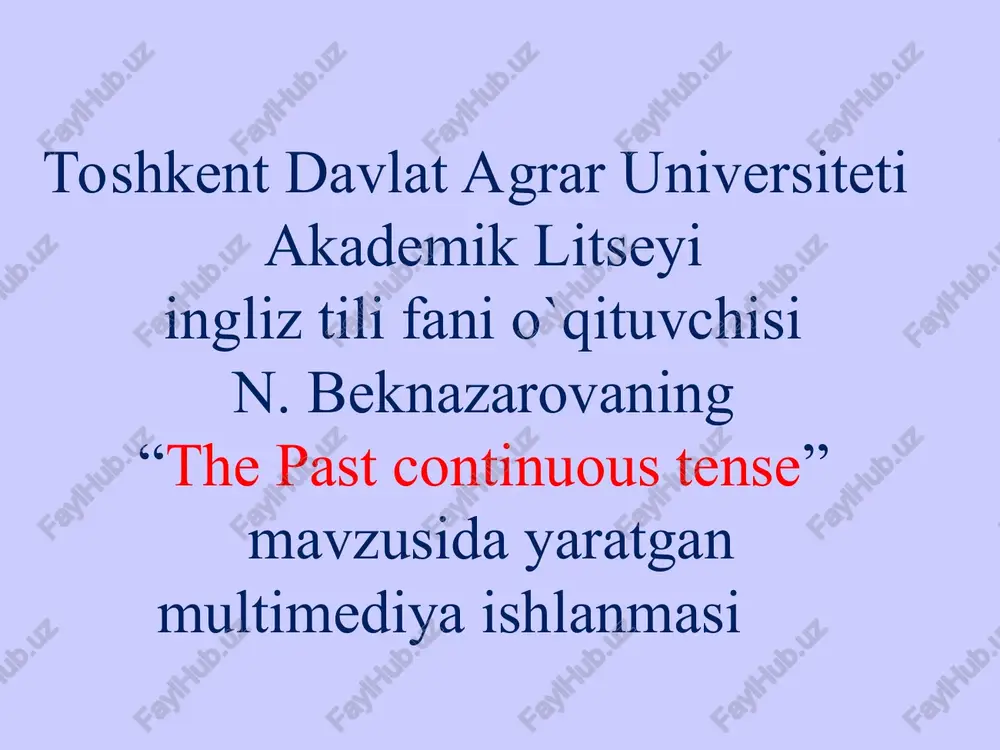 the past continuous tense — PPT