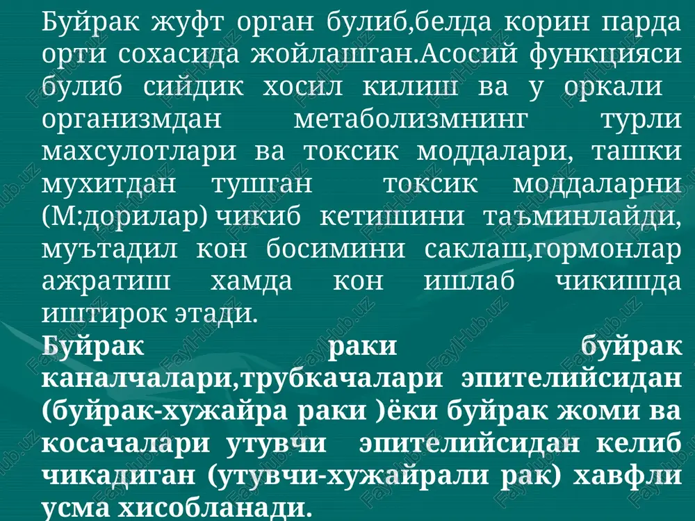 buyrak juft organ — PPT