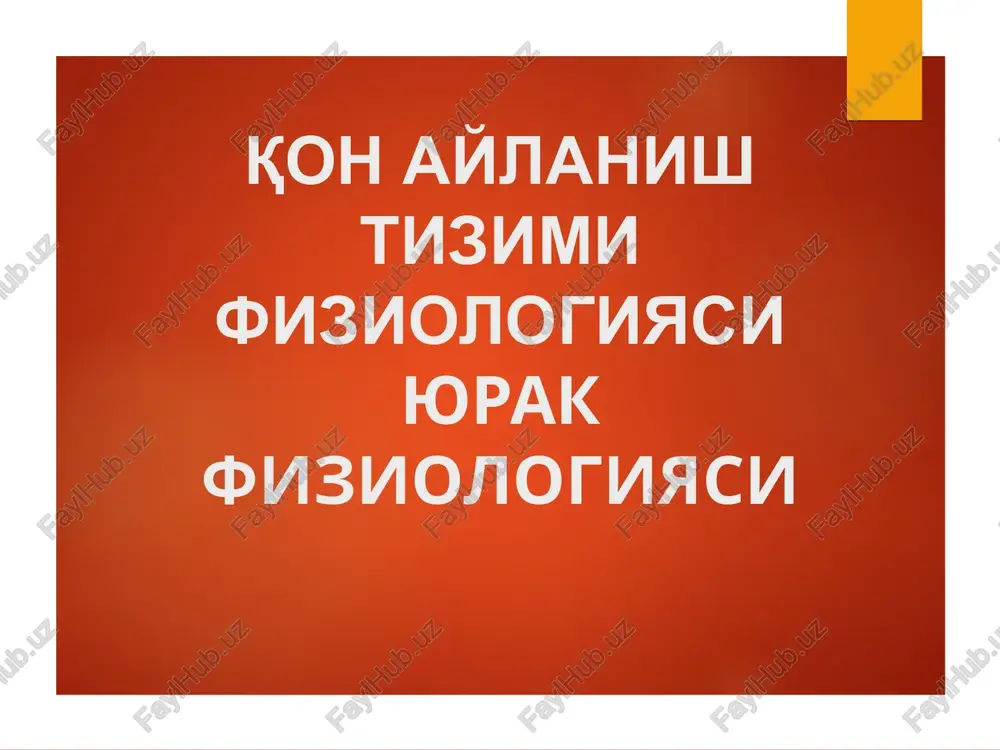 hayvonlarda yurak va qon harakatini anatomik tekshirish — PPT