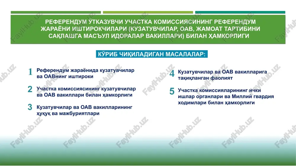 referendum — PPT