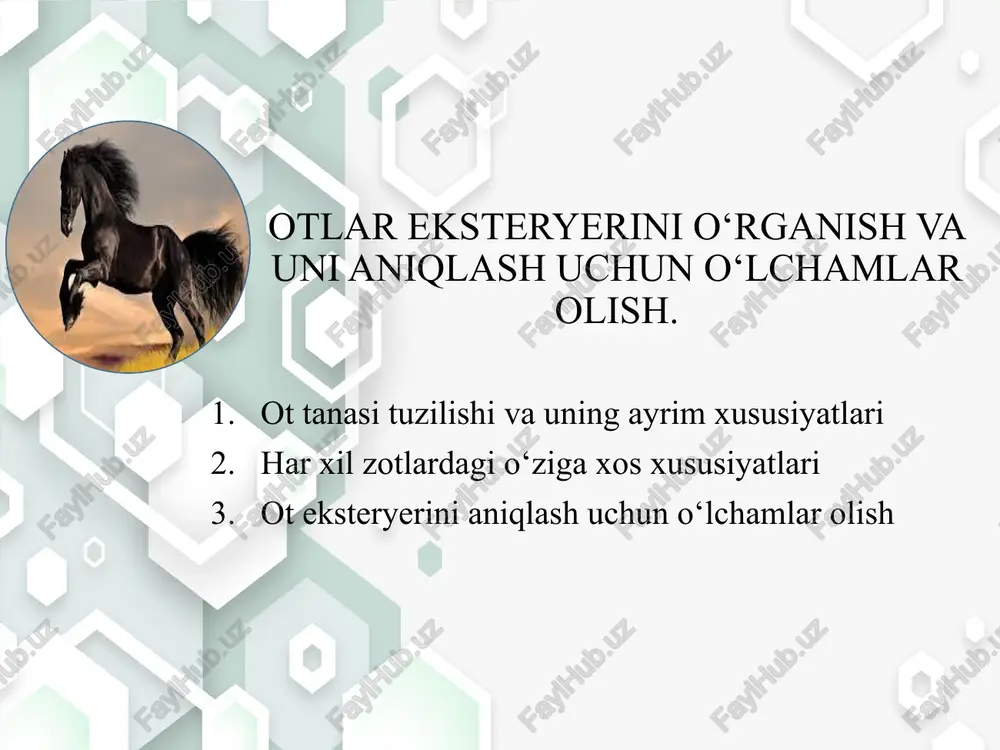 ottanasituzilishi va uning ayrim xususiyatlari — PPTX