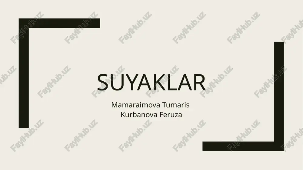 suyaklar — PPTX