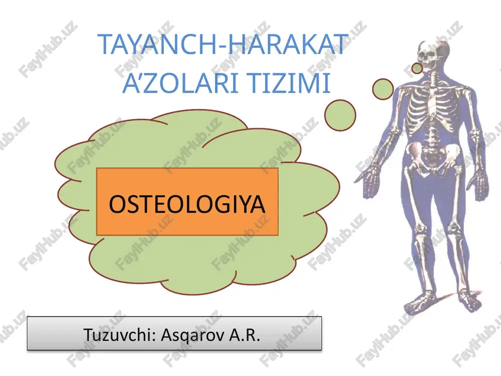 tayanch-harakat — PPTX