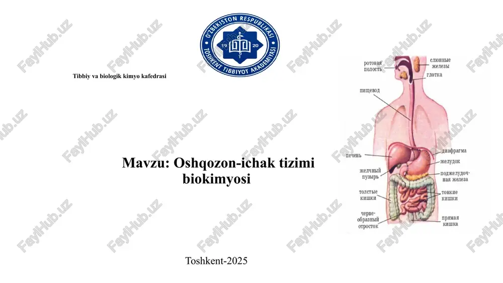 oshqozon-ichaktizimi biokimyosi — PPTX