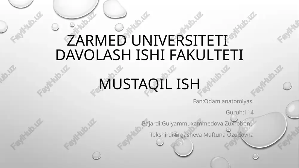ovozchiqarish mexanizmi — PPTX