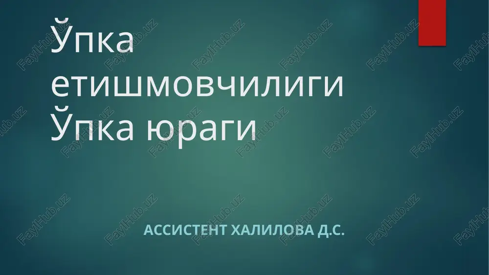 nafasetishmovchiligi — PPTX