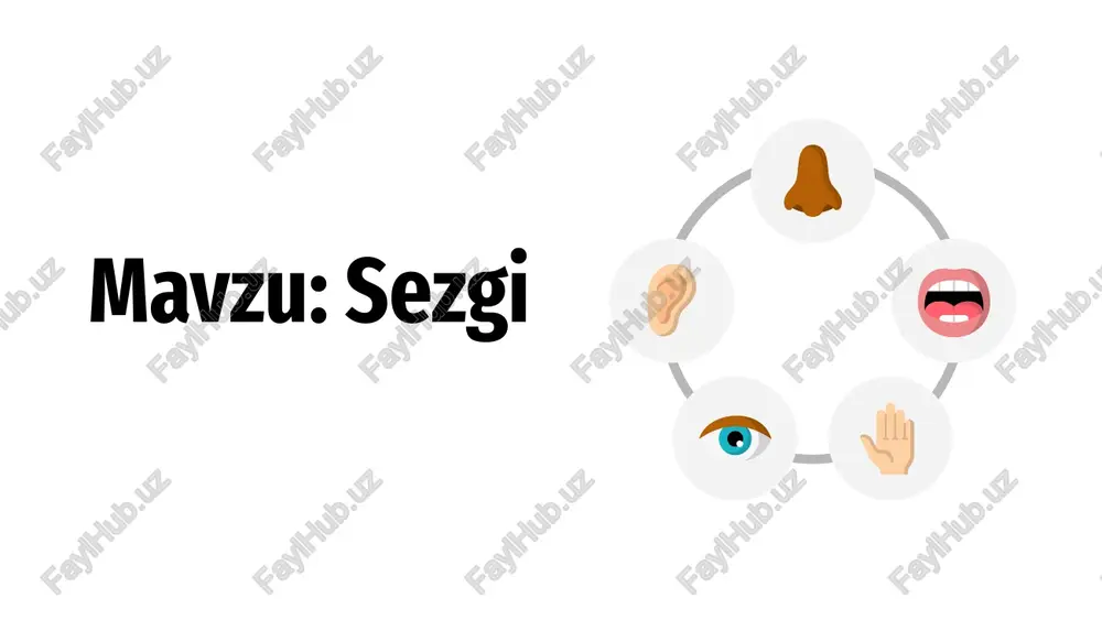 sezgi — PPTX
