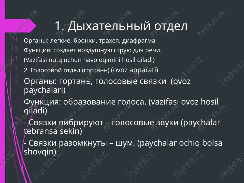 fonetika. nutq tovushlarining hosil boʻlishi — PPTX