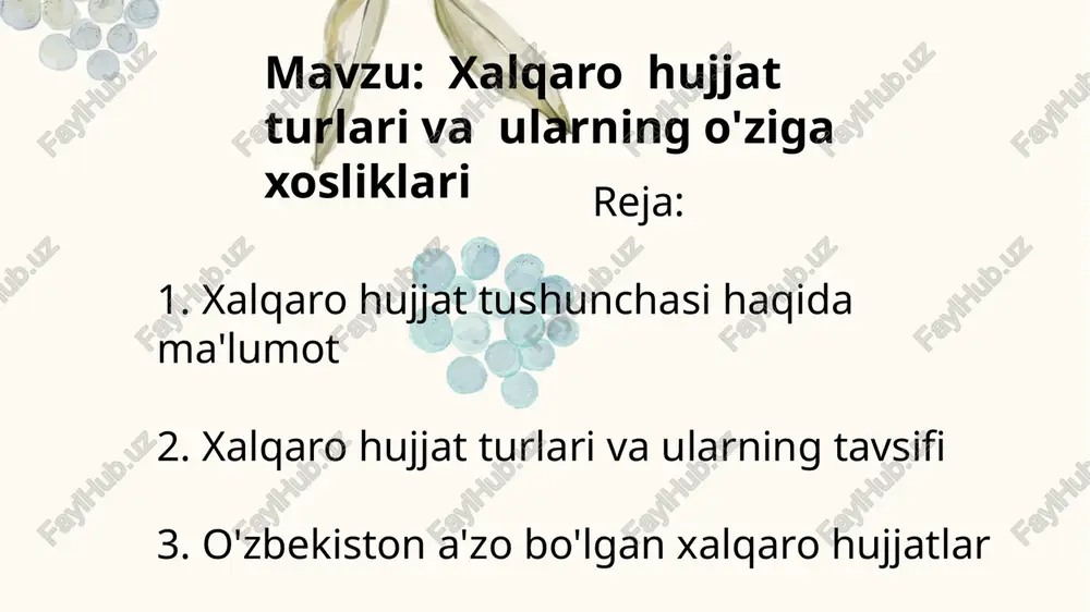 xalqaro hujjat turlari va ularning o'ziga xosliklari — PPTX