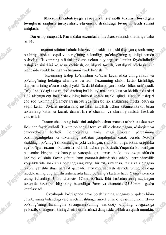 tuxum beradigan tovuqlar — DOCX