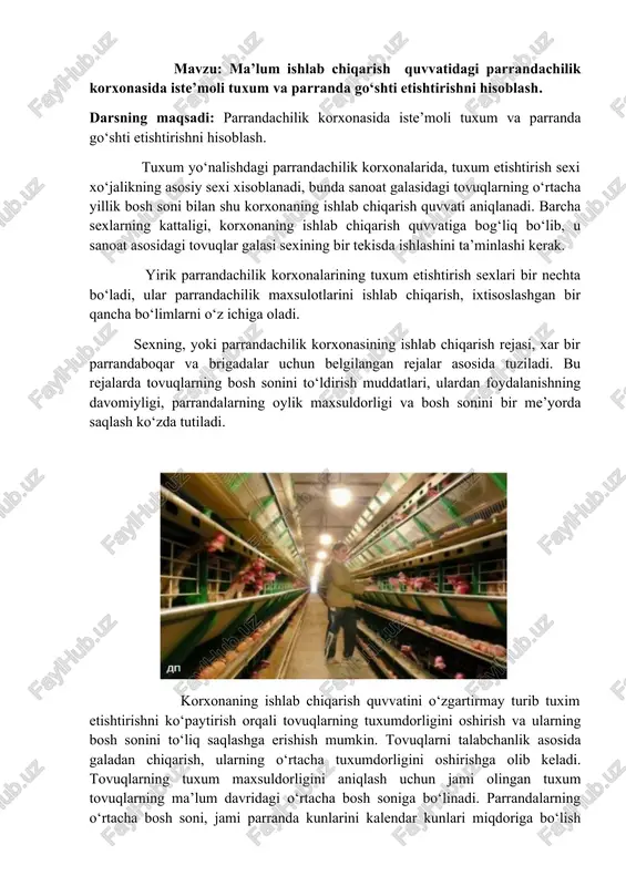 tuxum va parranda go‘shti etishtirish — DOCX