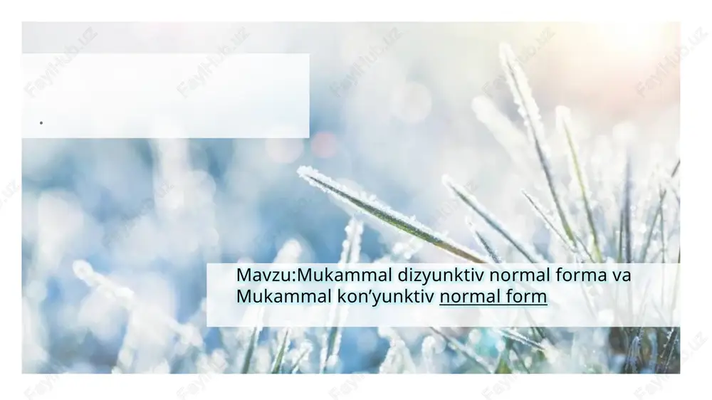 diz’yunktiv normal shakl — PPTX