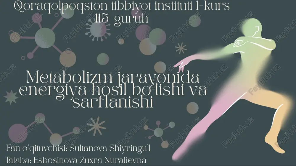 metabolizm haqida umumiy tushuncha — PDF