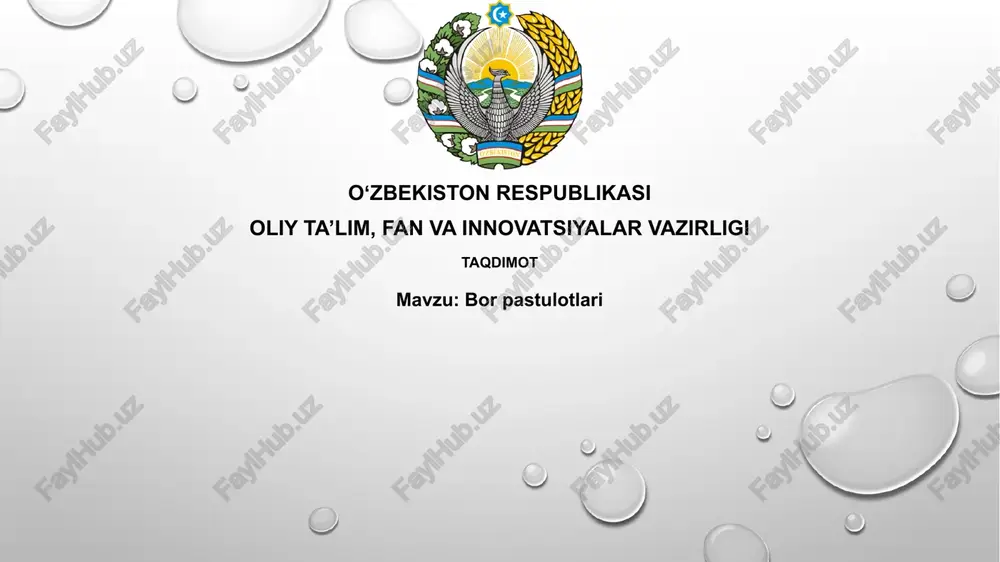 vin rezinalari — PPTX