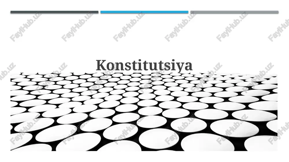 konstitutsiya — PPTX