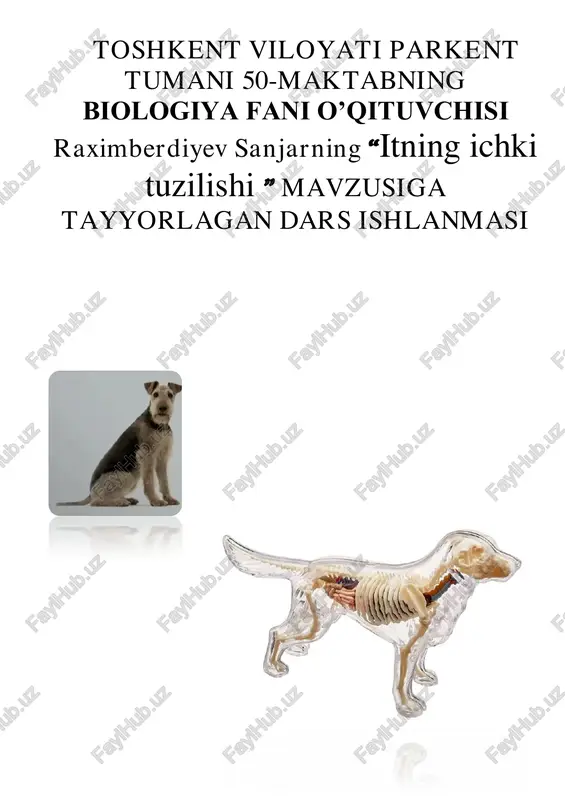 itning ichki tuzilishi — PDF