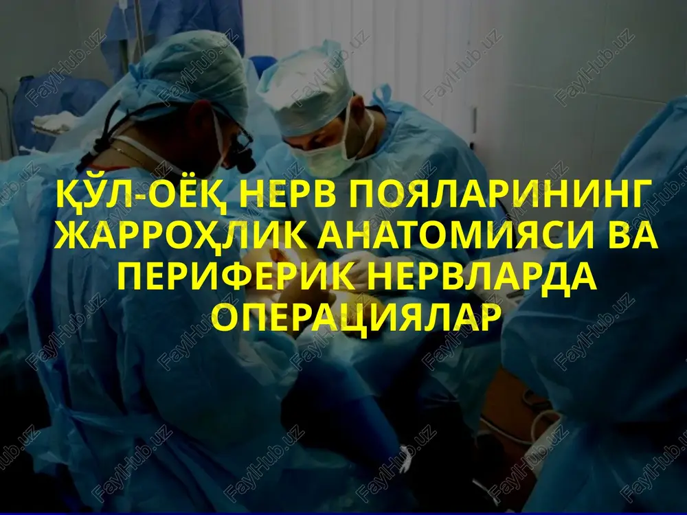 nerv tizimi anatomiyasi — PPTX