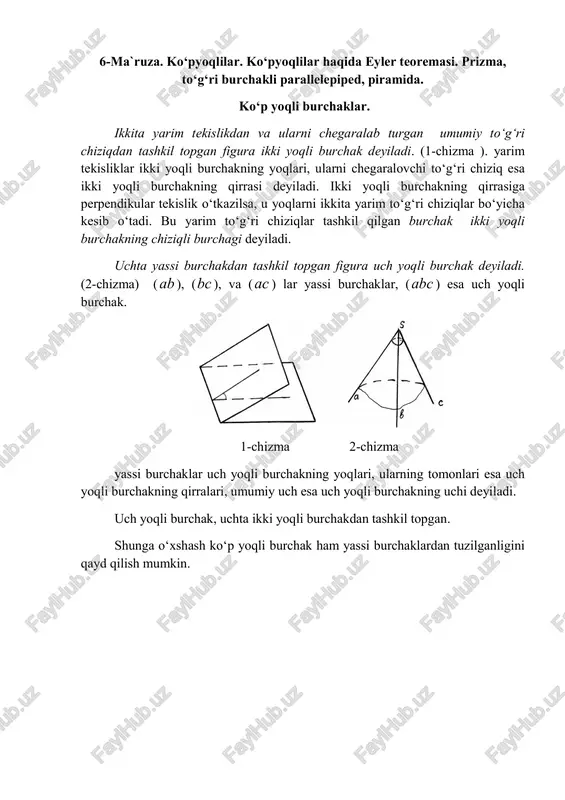 ko‘pyoqlilar — PDF