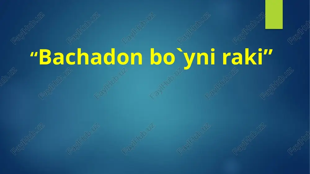 bachadon bo`yni raki — PPTX