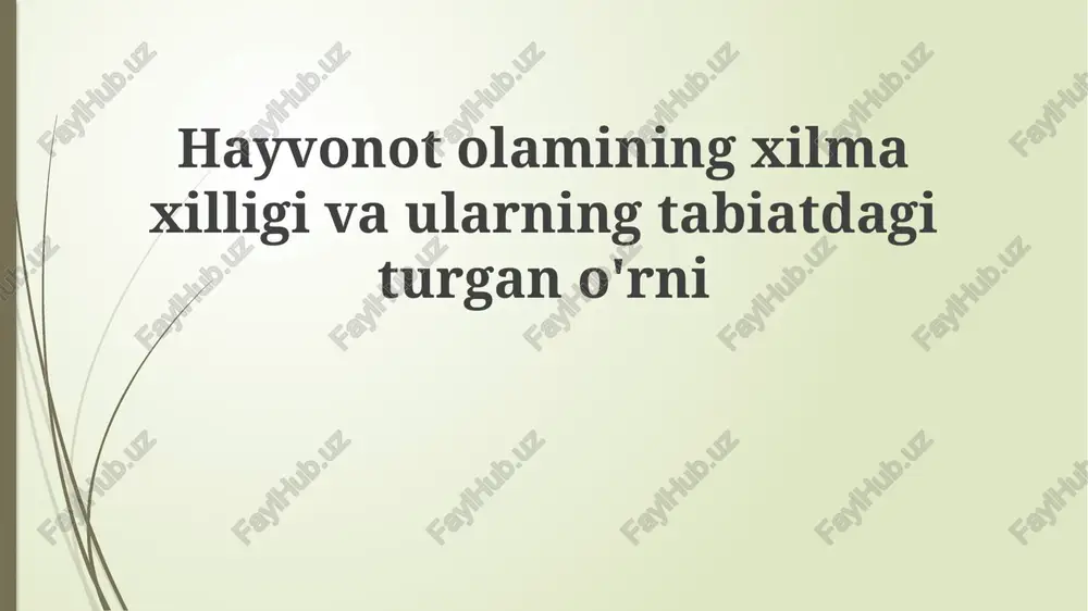 hayvonot olamining xilma-xilligi — PPTX