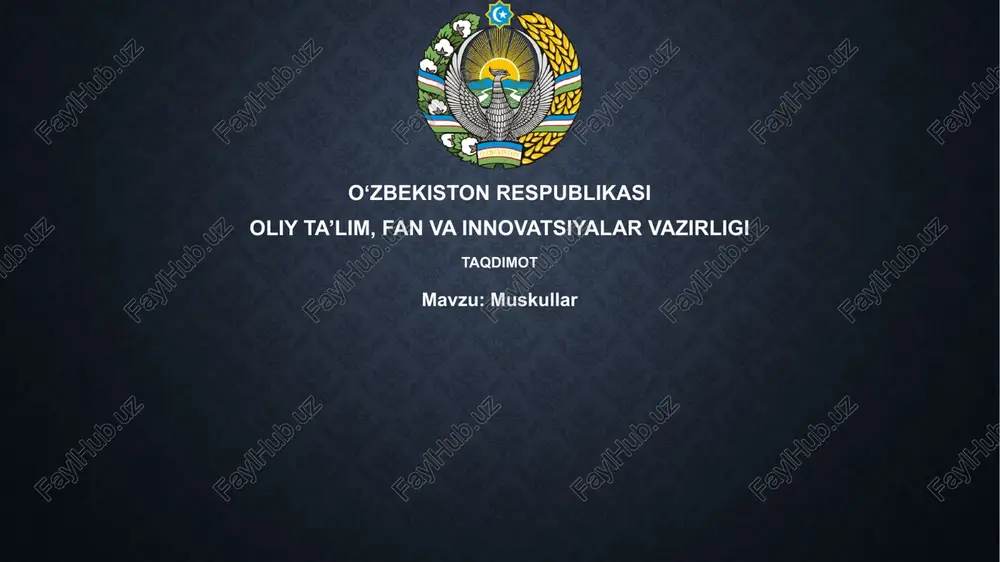 muskullar — PPTX