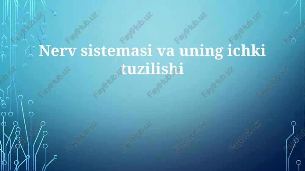 nervsistemasivauningichkituzilishi — PPTX