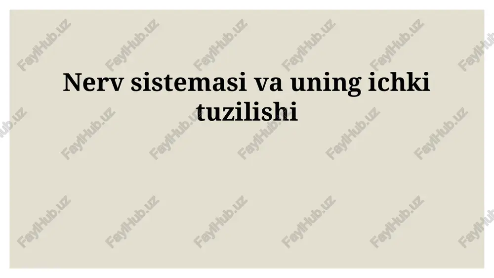 nerv sistemasi va uning ichki tuzilishi — PPTX