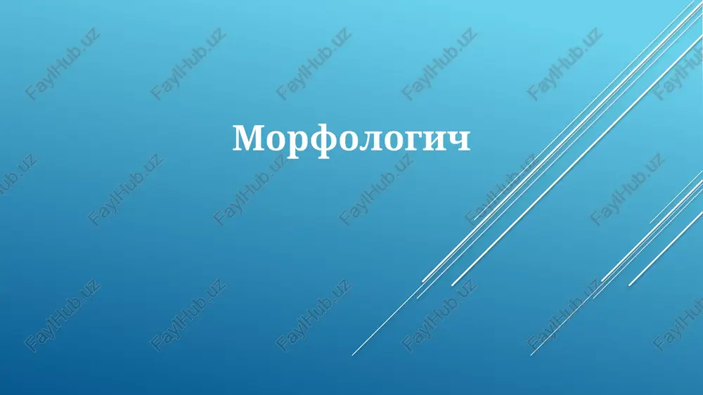 morfologiya — PPTX