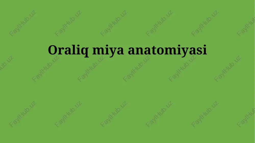 oraliq miya anatomiyasi — PPTX