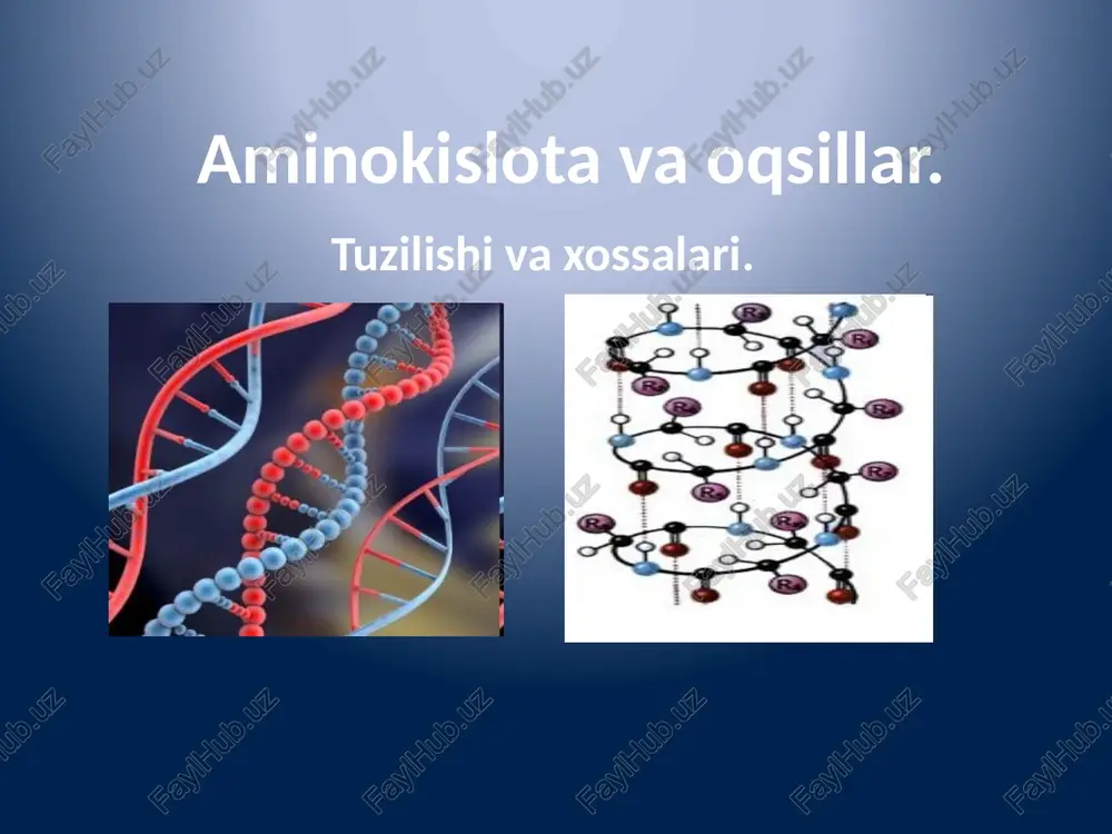 aminokislotavaoqsillar — PPTX