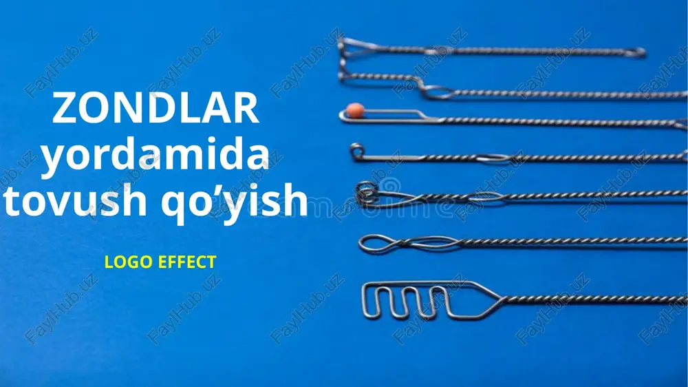 zondlar — PPTX