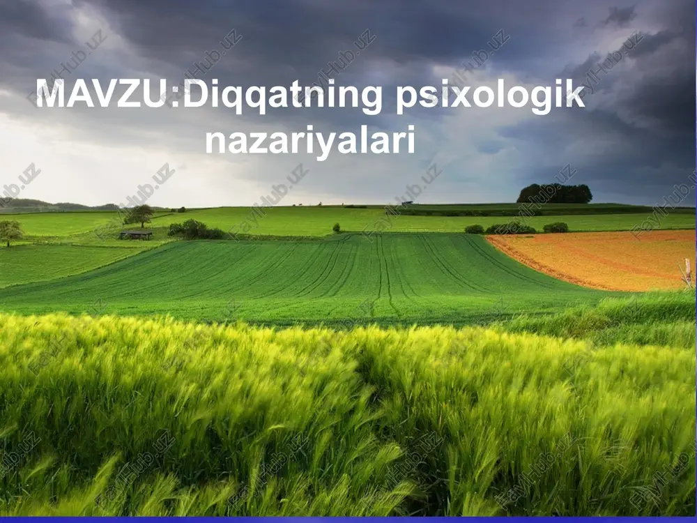 diqqatning psixologik nazariyasi — PPTX