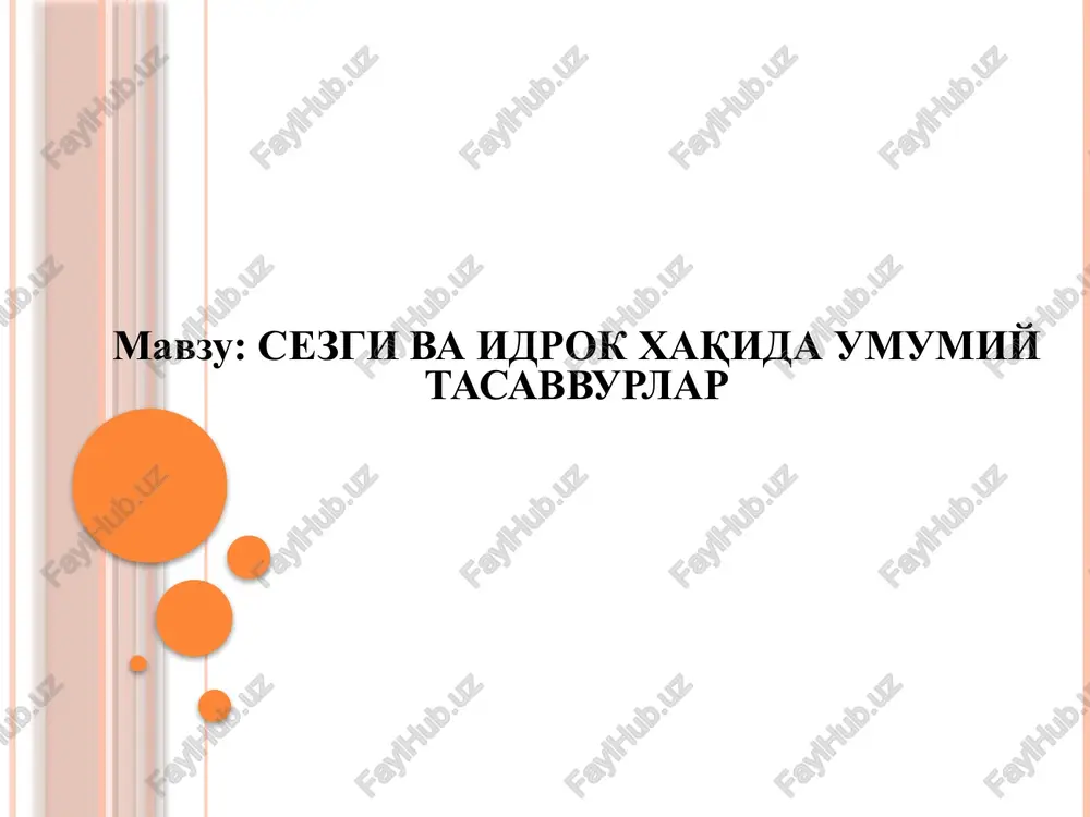 sezgi va idrok xaqida umumiy tasavvurlar — PPTX