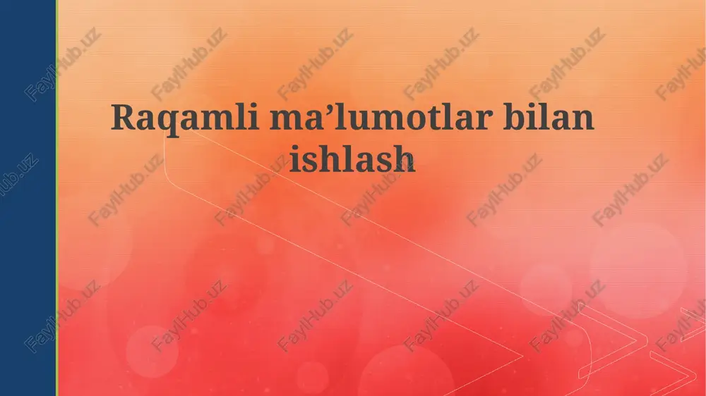 raqamlima'lumotlarbilanishlash — PPTX
