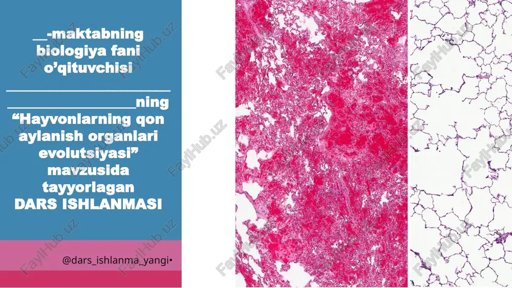 hayvonlarning qonaylanish organlari evolutsiyasi — PPTX