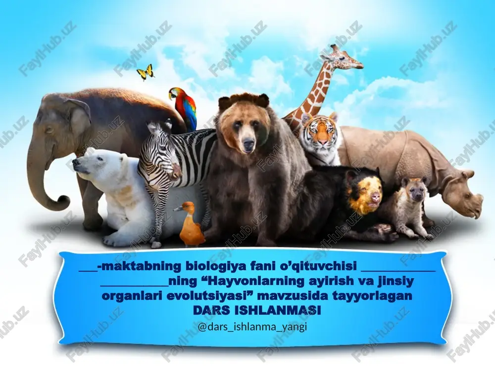 hayvonlarning ayirish va jinsiy organlari evolutsiyasi — PPTX