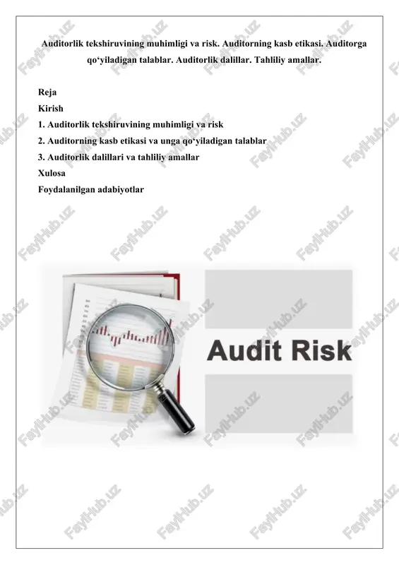 auditorlik tekshiruvi — DOCX