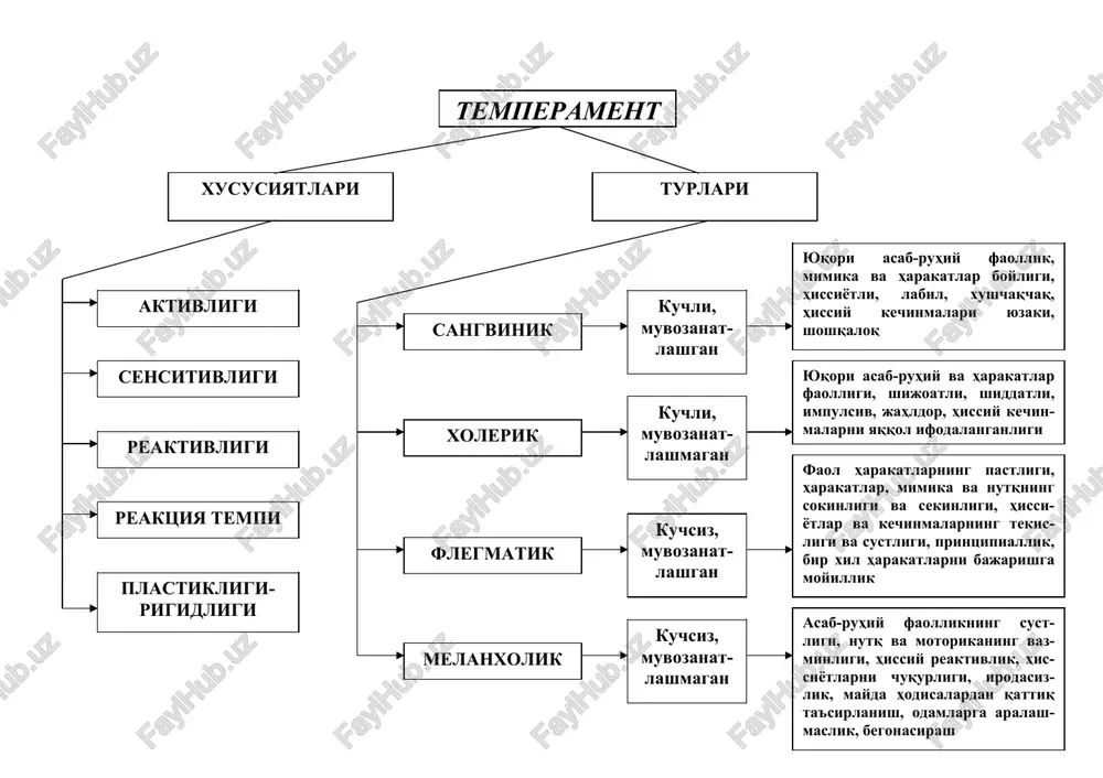 temperament — DOC